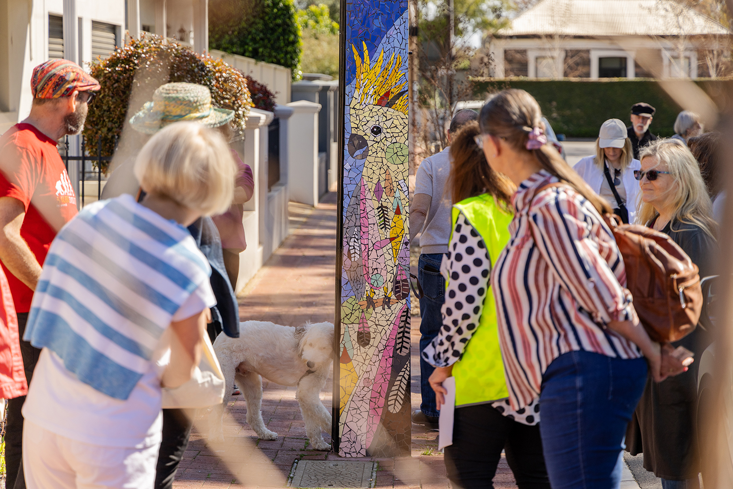 A general view of attendees touring the Bowden Bird Walk